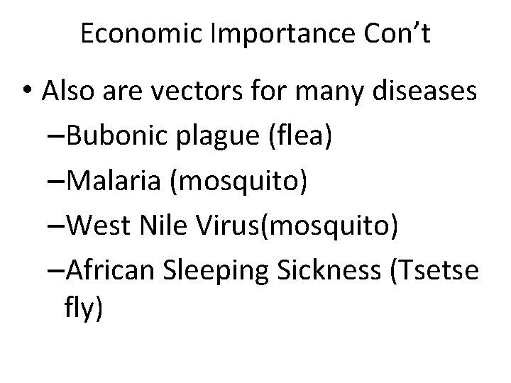 Economic Importance Con’t • Also are vectors for many diseases –Bubonic plague (flea) –Malaria