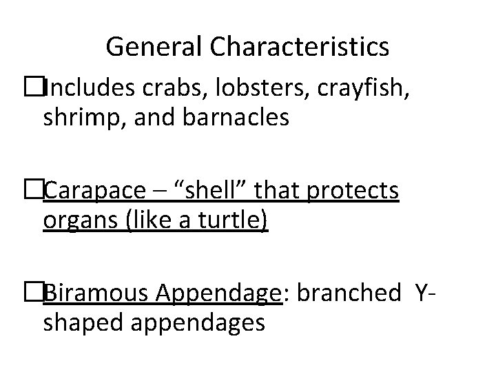 General Characteristics �Includes crabs, lobsters, crayfish, shrimp, and barnacles �Carapace – “shell” that protects