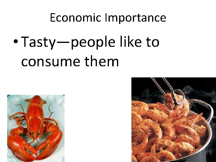 Economic Importance • Tasty—people like to consume them 