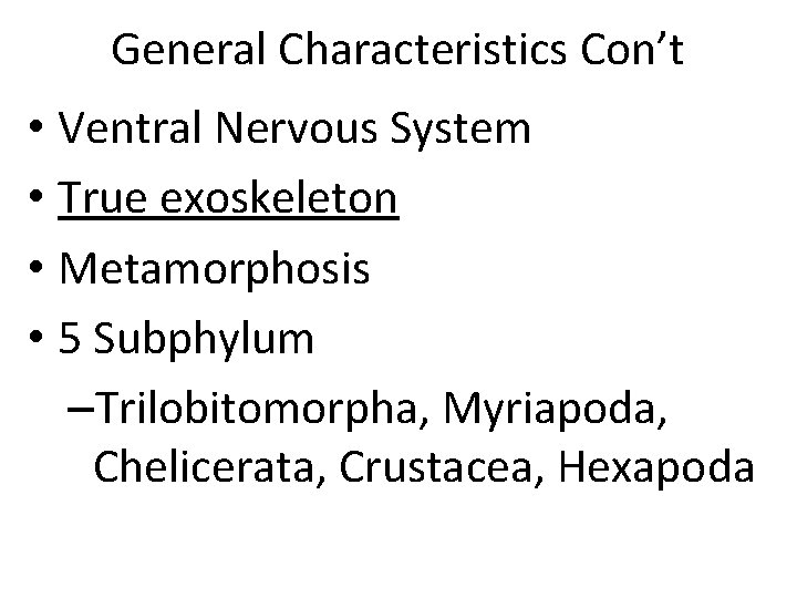 General Characteristics Con’t • Ventral Nervous System • True exoskeleton • Metamorphosis • 5
