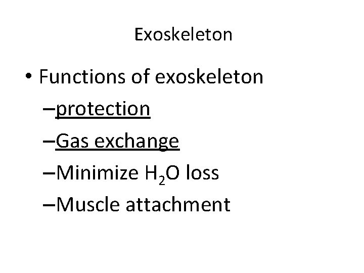 Exoskeleton • Functions of exoskeleton –protection –Gas exchange –Minimize H 2 O loss –Muscle