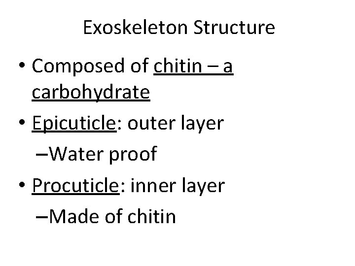 Exoskeleton Structure • Composed of chitin – a carbohydrate • Epicuticle: outer layer –Water