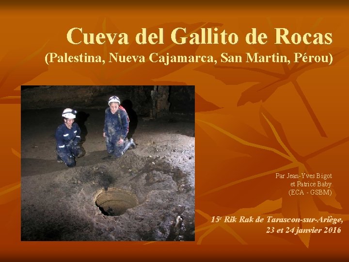 Cueva del Gallito de Rocas (Palestina, Nueva Cajamarca, San Martin, Pérou) Par Jean-Yves Bigot