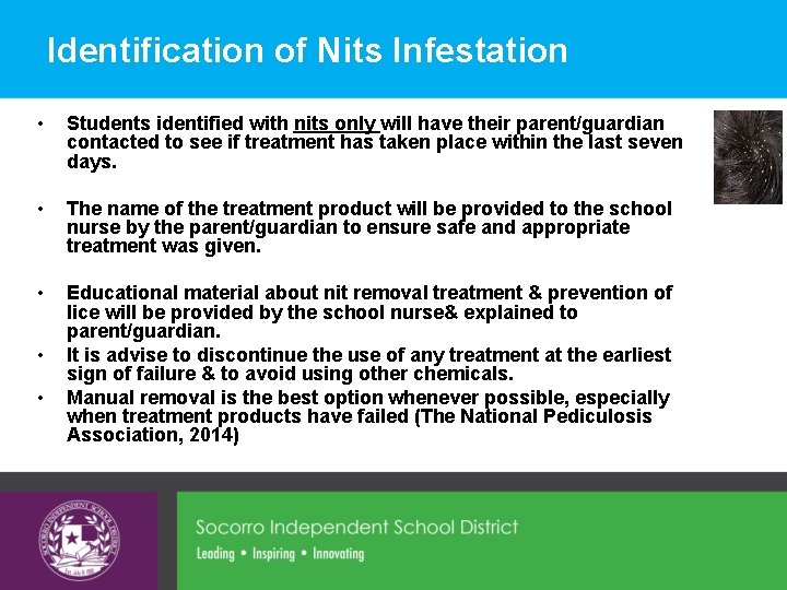 Identification of Nits Infestation • Students identified with nits only will have their parent/guardian