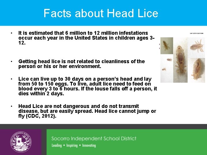 Facts about Head Lice • It is estimated that 6 million to 12 million