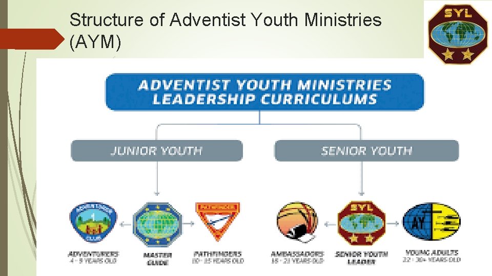 Structure of Adventist Youth Ministries (AYM) Structure of Adventist Youth Ministries (AYM)
