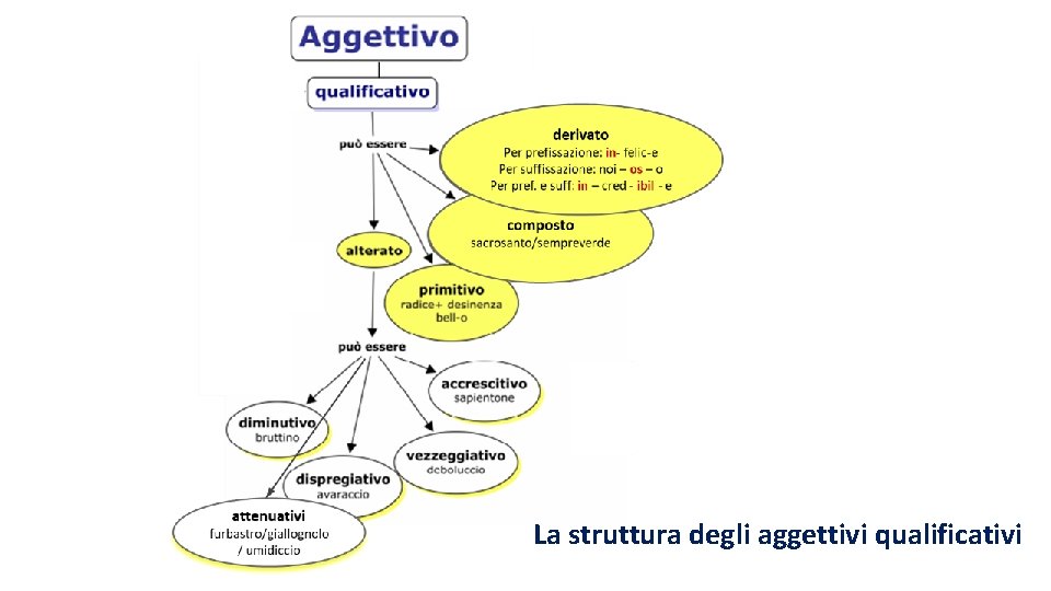 La struttura degli aggettivi qualificativi 