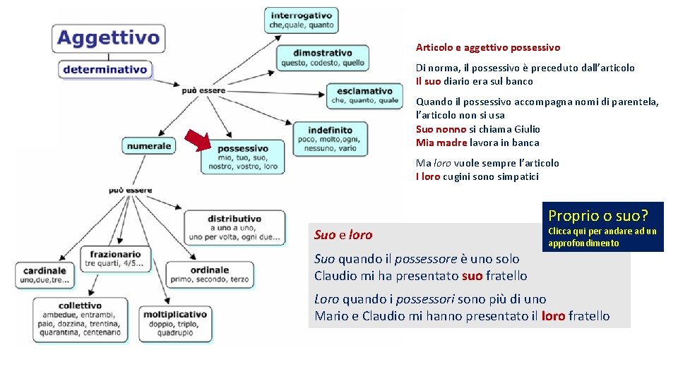 Articolo e aggettivo possessivo Di norma, il possessivo è preceduto dall’articolo Il suo diario