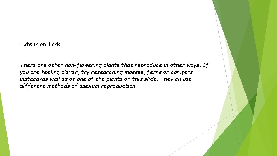 Extension Task There are other non-flowering plants that reproduce in other ways. If you