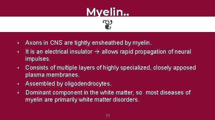 Myelin. . ▪ ▪ ▪ Axons in CNS are tightly ensheathed by myelin. It