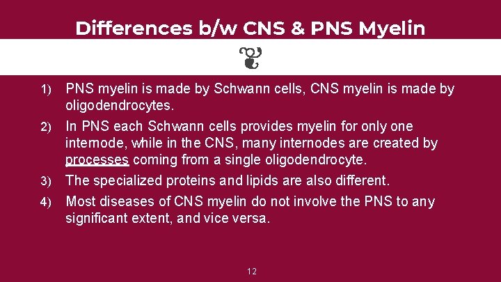 Differences b/w CNS & PNS Myelin 1) PNS myelin is made by Schwann cells,