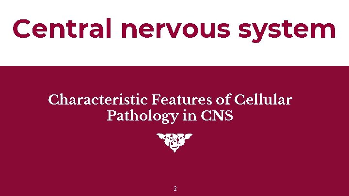 Central nervous system Characteristic Features of Cellular Pathology in CNS 2 