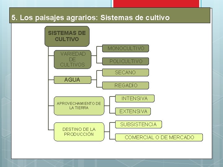 5. Los paisajes agrarios: Sistemas de cultivo SISTEMAS DE CULTIVO MONOCULTIVO VARIEDAD DE CULTIVOS