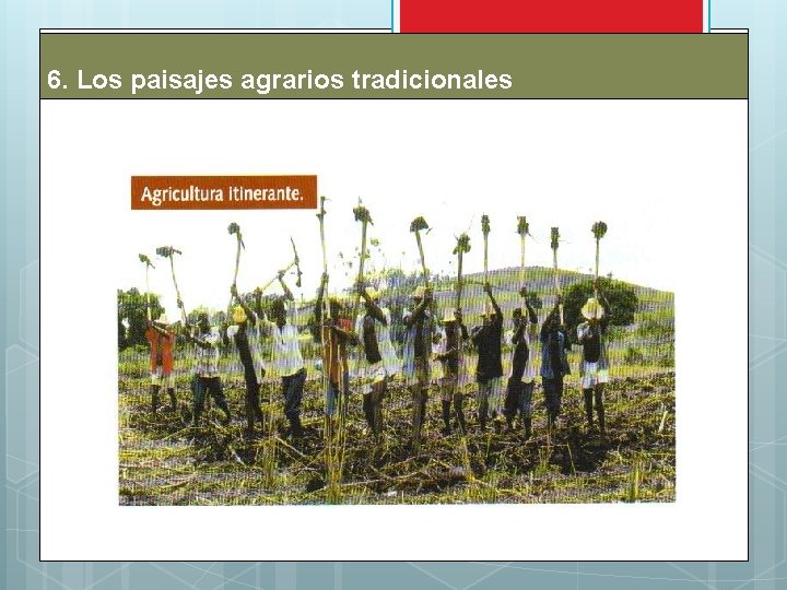 6. Los paisajes agrarios tradicionales 