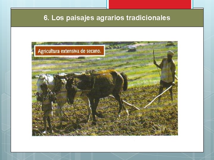 6. Los paisajes agrarios tradicionales 