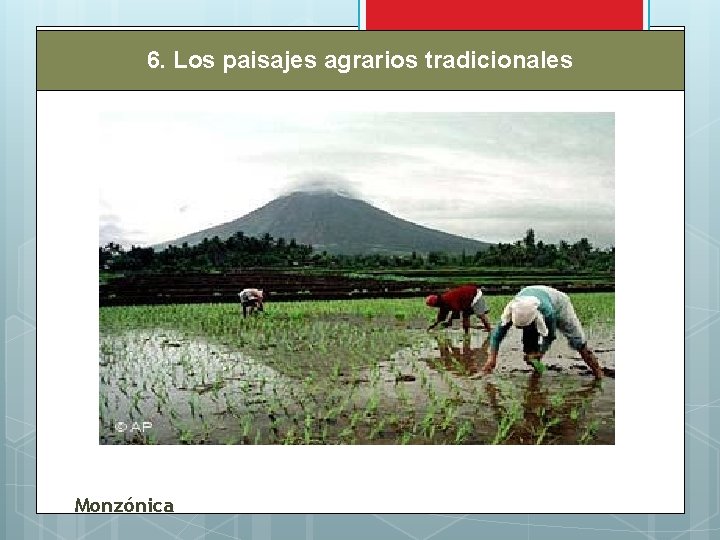 6. Los paisajes agrarios tradicionales Monzónica 