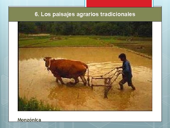 6. Los paisajes agrarios tradicionales Monzónica 