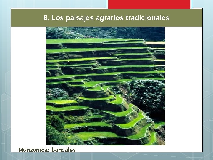 6. Los paisajes agrarios tradicionales Monzónica: bancales 