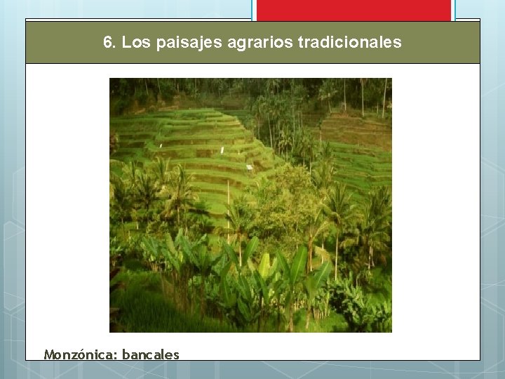6. Los paisajes agrarios tradicionales Monzónica: bancales 