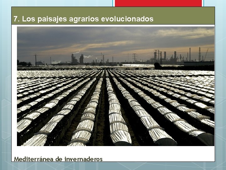 7. Los paisajes agrarios evolucionados Mediterránea de invernaderos 