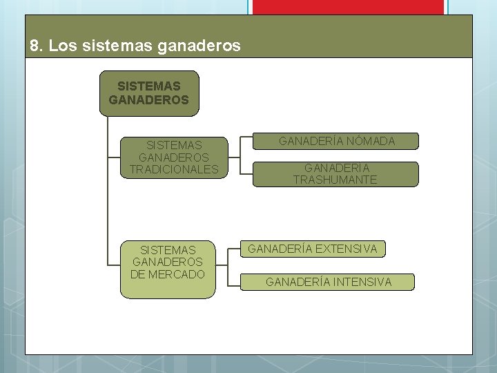 8. Los sistemas ganaderos SISTEMAS GANADEROS TRADICIONALES SISTEMAS GANADEROS DE MERCADO GANADERÍA NÓMADA GANADERÍA