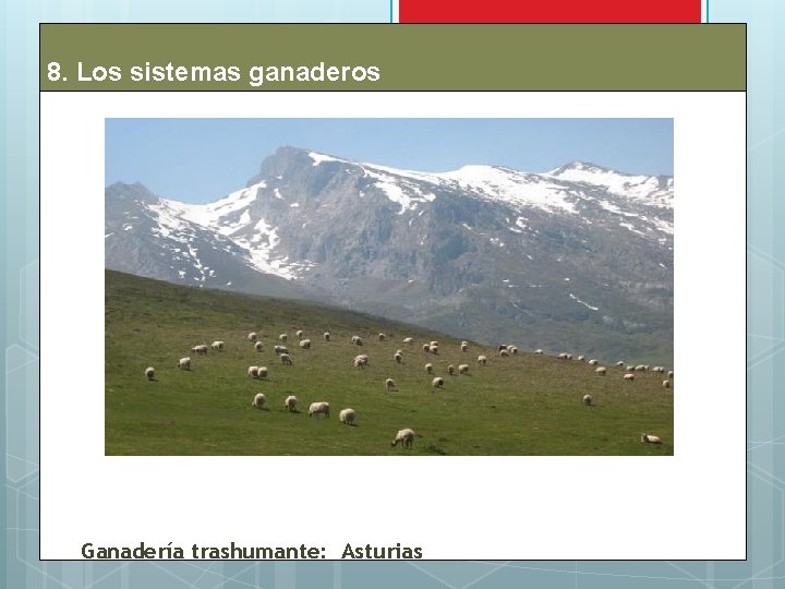 8. Los sistemas ganaderos Ganadería trashumante: Asturias 