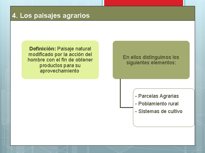 4. Los paisajes agrarios Definición: Paisaje natural modificado por la acción del hombre con