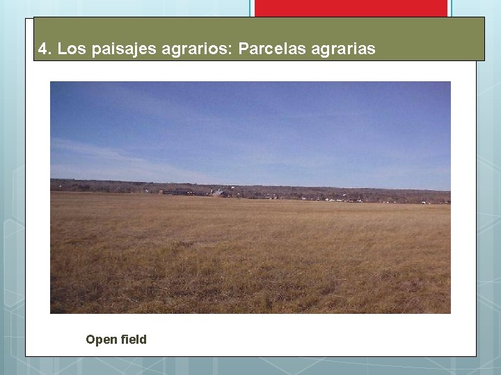 4. Los paisajes agrarios: Parcelas agrarias Open field 