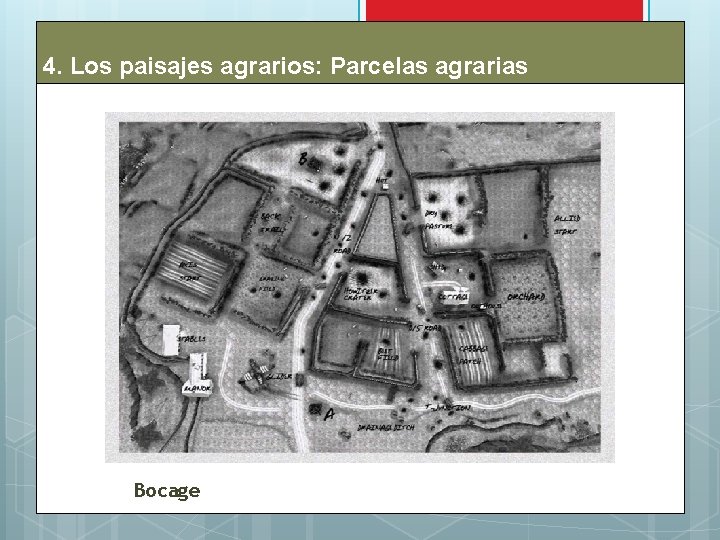 4. Los paisajes agrarios: Parcelas agrarias Bocage 