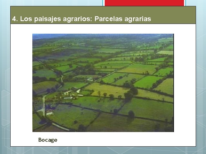 4. Los paisajes agrarios: Parcelas agrarias Bocage 