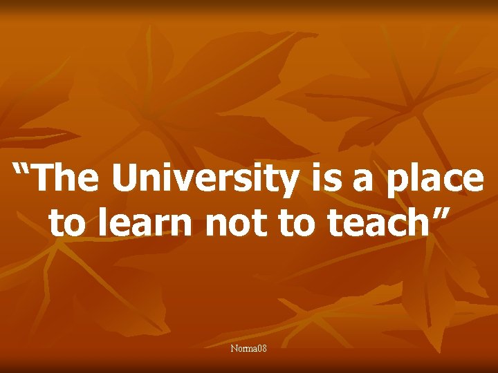 “The University is a place to learn not to teach” Norma 08 