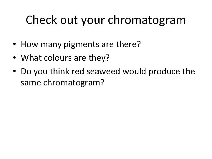Check out your chromatogram • How many pigments are there? • What colours are