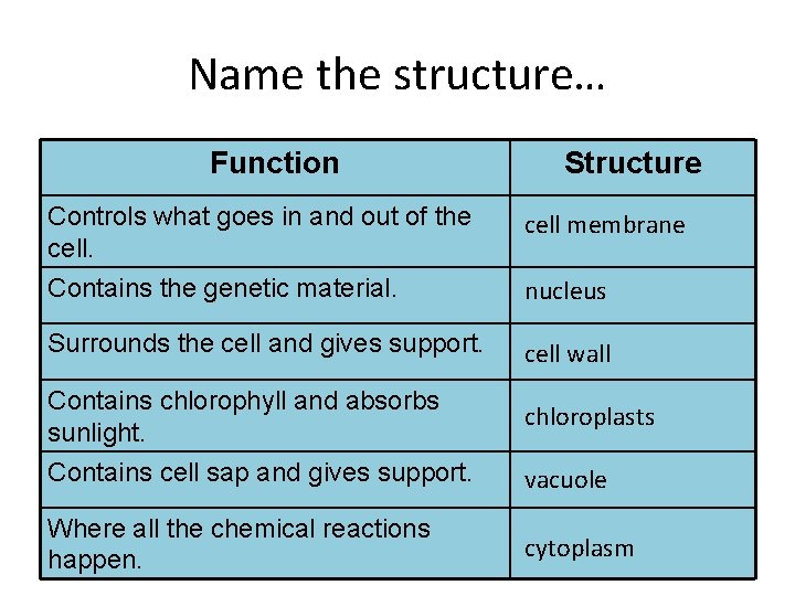 Name the structure… Function Structure Controls what goes in and out of the cell