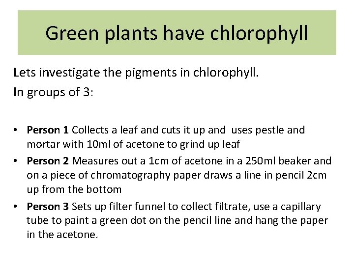 Green plants have chlorophyll Lets investigate the pigments in chlorophyll. In groups of 3: