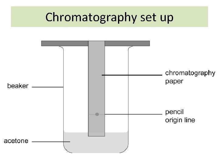 Chromatography set up 