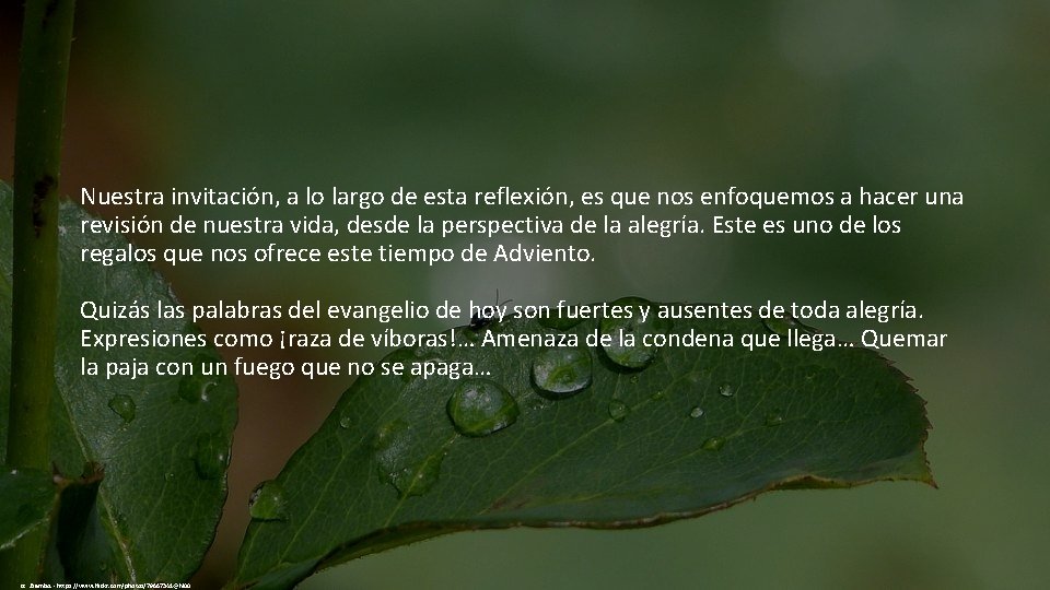 Nuestra invitación, a lo largo de esta reflexión, es que nos enfoquemos a hacer