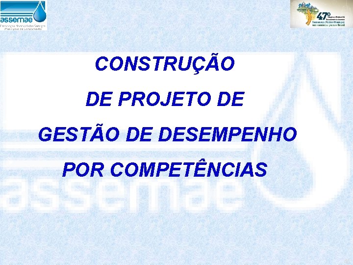 CONSTRUÇÃO DE PROJETO DE GESTÃO DE DESEMPENHO POR COMPETÊNCIAS 46 