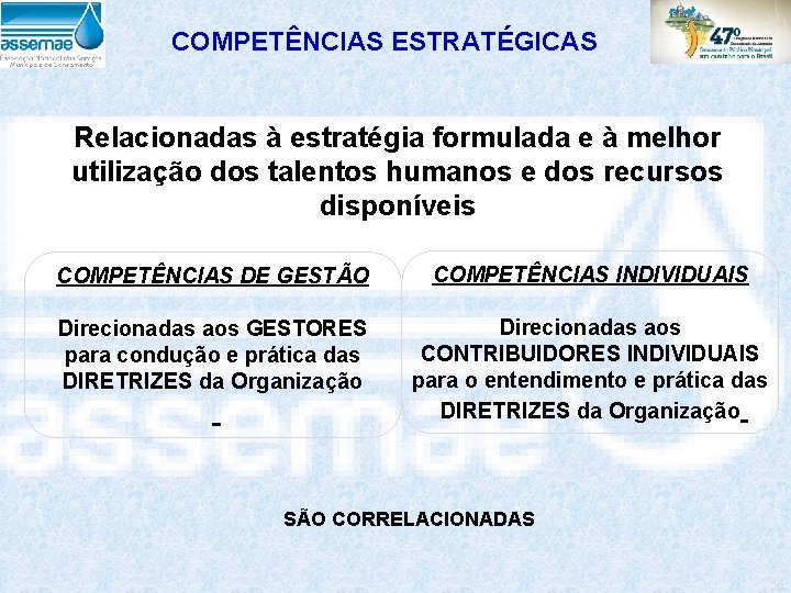 COMPETÊNCIAS ESTRATÉGICAS Relacionadas à estratégia formulada e à melhor utilização dos talentos humanos e