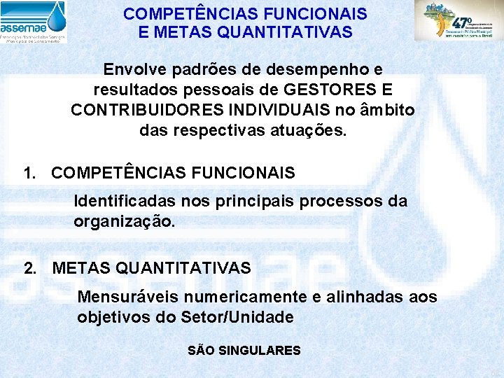 COMPETÊNCIAS FUNCIONAIS E METAS QUANTITATIVAS Envolve padrões de desempenho e resultados pessoais de GESTORES