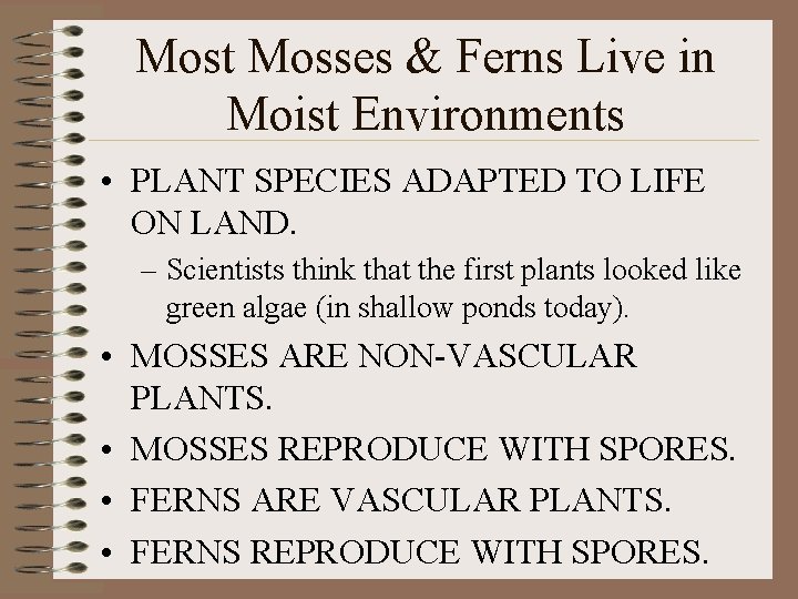 Most Mosses & Ferns Live in Moist Environments • PLANT SPECIES ADAPTED TO LIFE