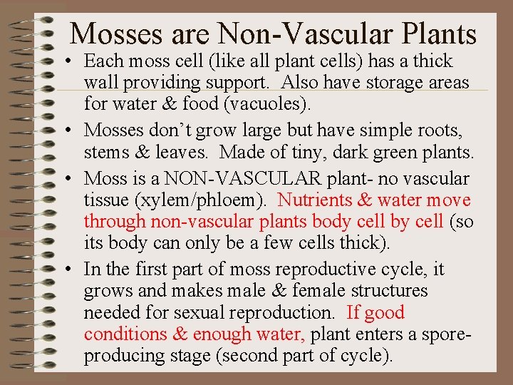 Mosses are Non-Vascular Plants • Each moss cell (like all plant cells) has a