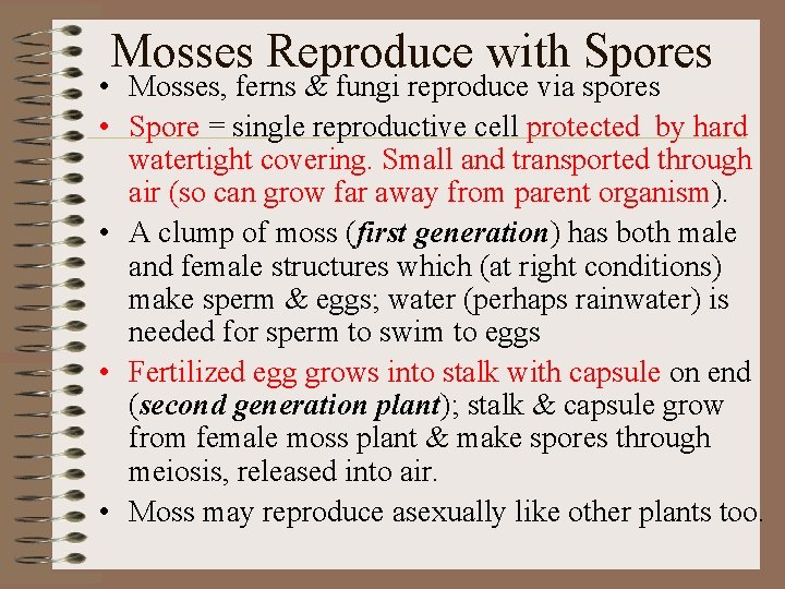 Mosses Reproduce with Spores • Mosses, ferns & fungi reproduce via spores • Spore