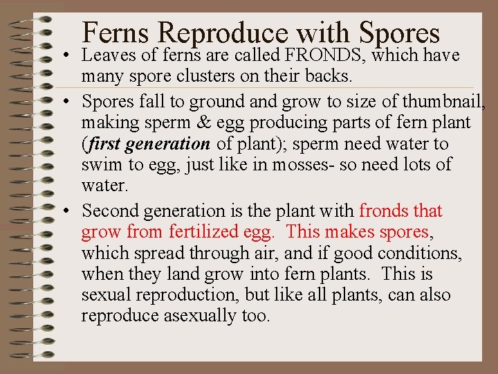 Ferns Reproduce with Spores • Leaves of ferns are called FRONDS, which have many