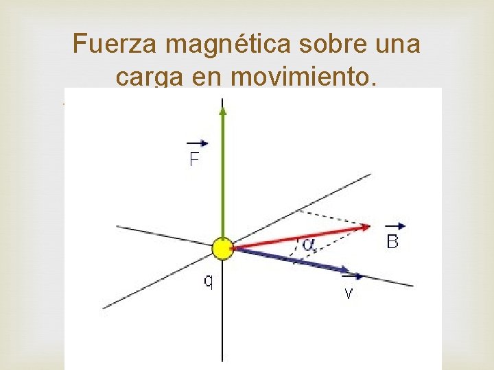 Fuerza magnética sobre una carga en movimiento. 