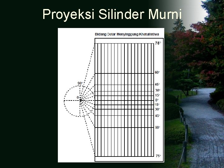 Proyeksi Silinder Murni 