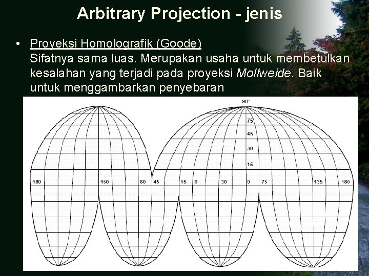 Arbitrary Projection - jenis • Proyeksi Homolografik (Goode) Sifatnya sama luas. Merupakan usaha untuk