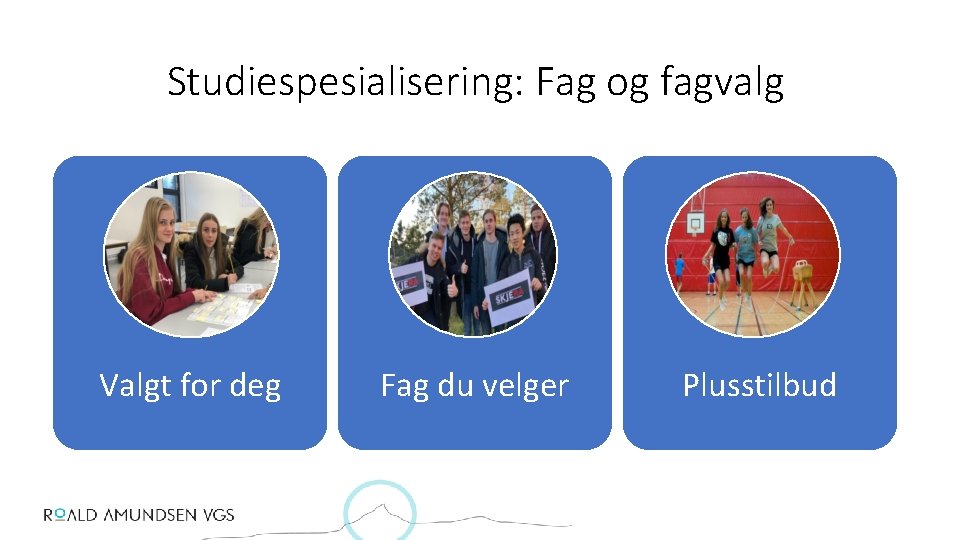 Studiespesialisering: Fag og fagvalg Valgt for deg Fag du velger Plusstilbud 