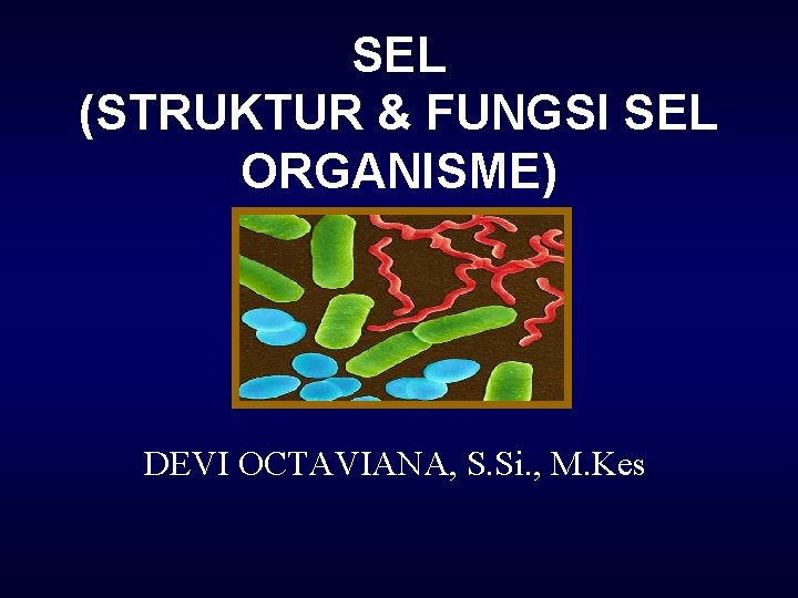 SEL (STRUKTUR & FUNGSI SEL ORGANISME) DEVI OCTAVIANA, S. Si. , M. Kes 