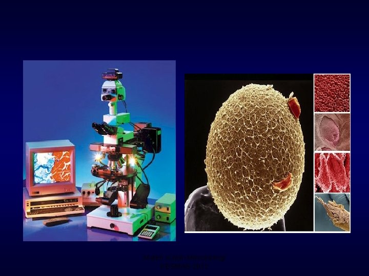 Materi Kuliah Mikrobiologi KESMAS 2012 