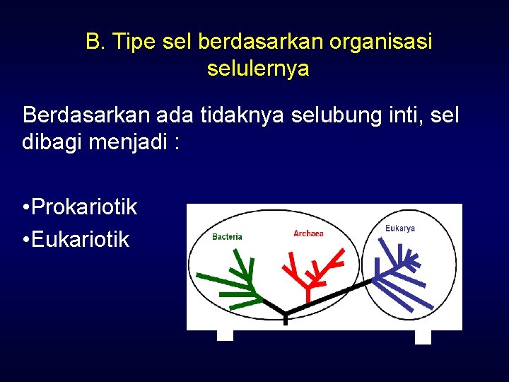 B. Tipe sel berdasarkan organisasi selulernya Berdasarkan ada tidaknya selubung inti, sel dibagi menjadi